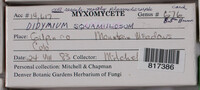 Image Associated With the Occurence